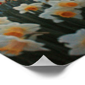 Niederländischer Frühling Poster (Ecke)