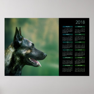 Niederländischer Schäfer - Dutchie Kalender 2018 Poster