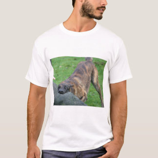 Niederländischer Schäfer T-Shirt