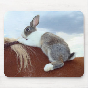 Niederländisches Häschen, das ein Pferd reitet Mousepad