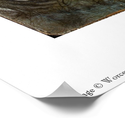 Niederländisches Malplakat Poster (Ecke)