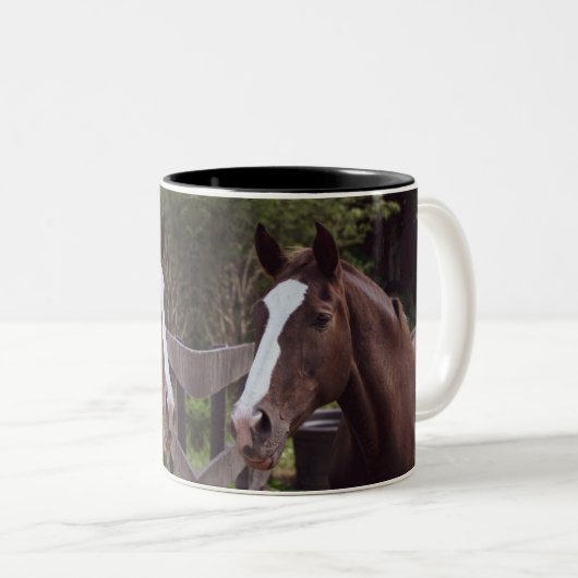 Niederländisches Warmblut-Pferd - Tina Zweifarbige Tasse (VorderseiteRechts)