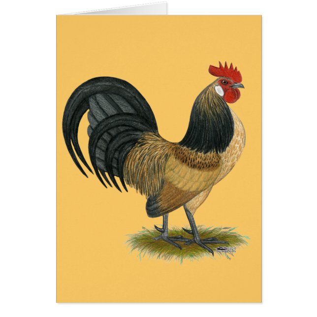 Niederländisches Zwerghuhn:  Blauer Wachtel-Hahn (Vorne)