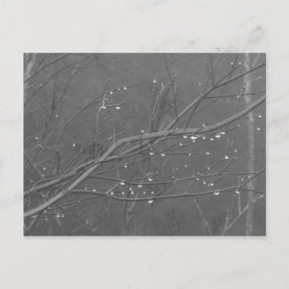 Niederlassung im Regen Postkarte