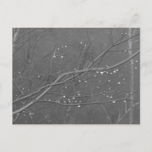 Niederlassung im Regen Postkarte (Vorderseite)