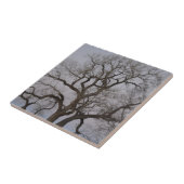 Niederlassungen Fliese (Seite)