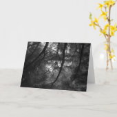 Niederlassungen, in Sonne, UC Santa Cruz, 1963 Karte (Gelbe Blume)