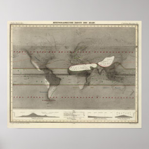 Niederschlagsweltkarte Poster