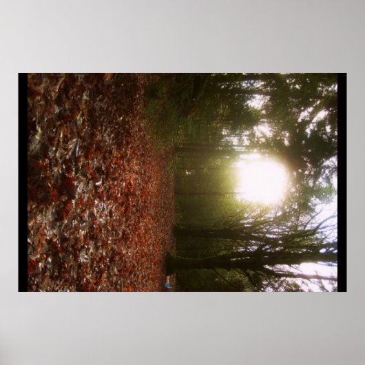 Niederwald Poster (Vorne)