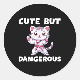 Niedlich aber gefährlich Karate Taekwondo Kitty Ca Runder Aufkleber