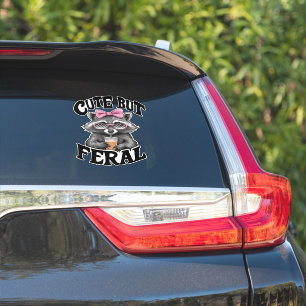 Niedlich aber Wild Racoon mit Sonnenbrille Racoon Aufkleber