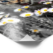 Niedlich Adorable Cat Kitten Fotodruck (Ecke)