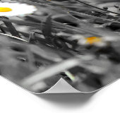 Niedlich Adorable Cat Kitten herunterladen und Poster (Ecke)