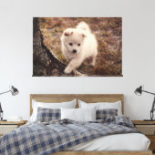 Niedlich Adorable Fluffy Snowball Puppy Hund Leinw Leinwanddruck (Insitu (Schlafzimmer))