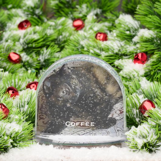 Niedlich Adorable Hauskatze, Hund, Baby-Foto mit N Schneekugeln (Weihnachten)