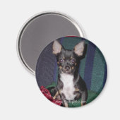 Niedlich & Adorable MickeyElvis Magnet (Vorderseite/Rückseite)