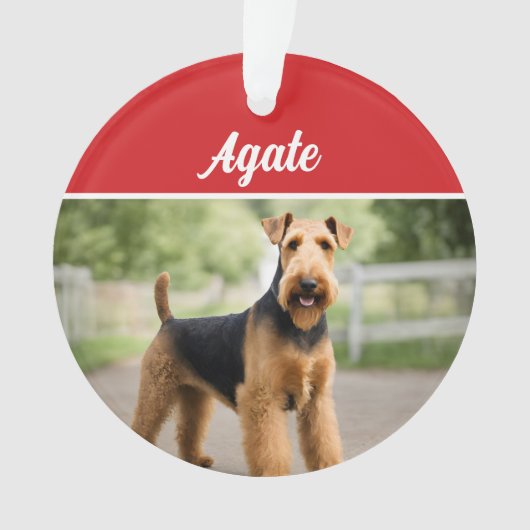 Niedlich Airedale Terrier Dog Weihnachtsfest Foto Ornament (Vorderseite)