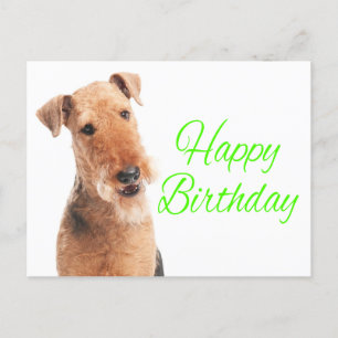 Niedlich Airedale Terrier Welpe Hund Happy Birthda Postkarte