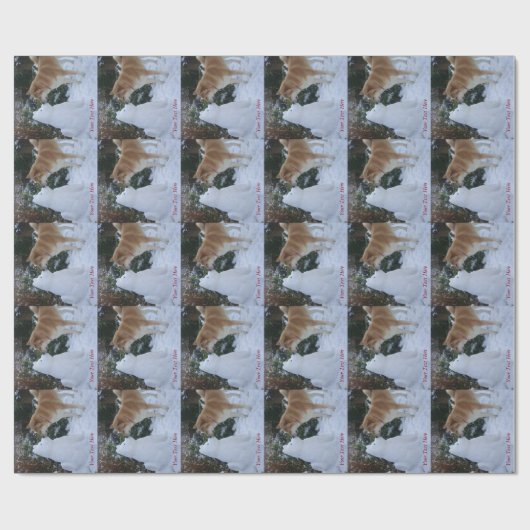 niedlich akita kissende Snowman akita Foto Geschenkpapier (Flach)