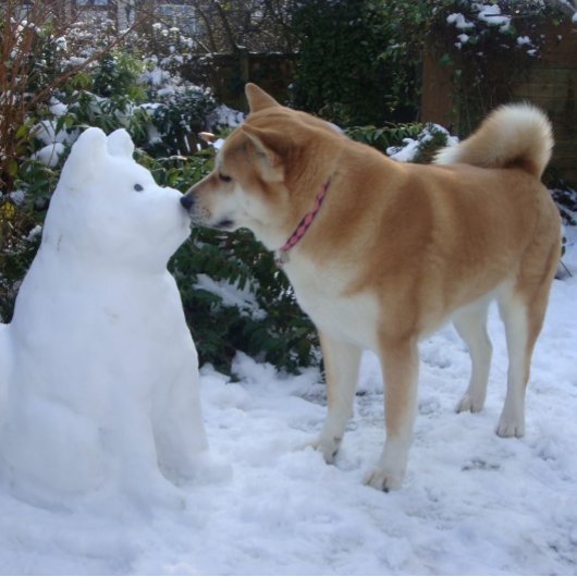 niedlich akita kissende Snowman akita Foto Puzzle