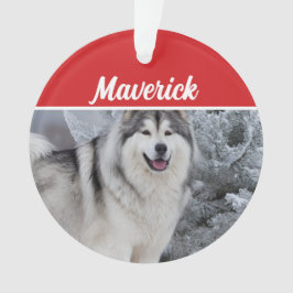 Niedlich Alaskan Malamute Dog Weihnachtsfeiertag F Ornament