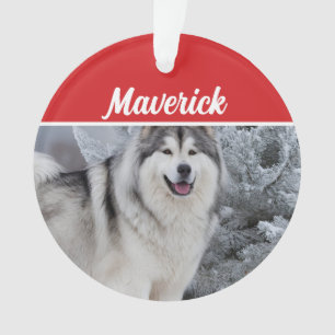 Niedlich Alaskan Malamute Dog Weihnachtsfeiertag F Ornament