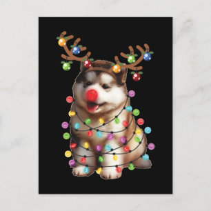 Niedlich Alaskan Malamute Dog Weihnachtsgeschenke Postkarte