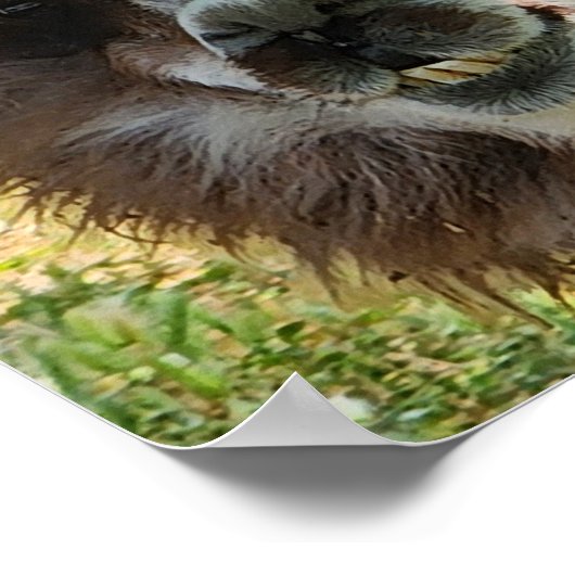 Niedlich Alpaca Poster (Ecke)