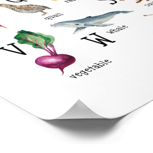 Niedlich Alphabet ABC Educational Poster (Ecke)