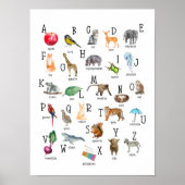 Niedlich Alphabet ABC Educational Poster (Vorne)