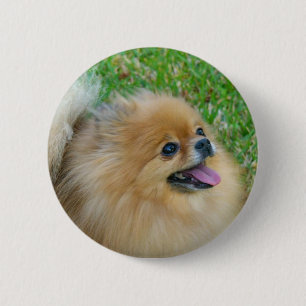 Niedlich als blonder Knopf Button