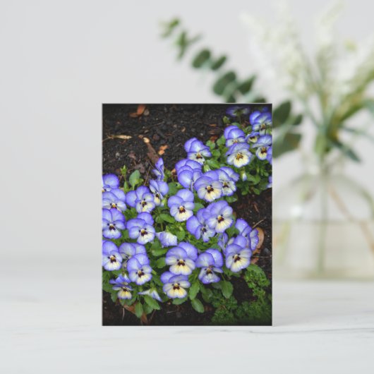 Niedlich als Schaltflächen Postkarte (Stehend Vorderseite)