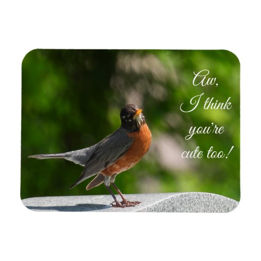 Niedlich American Robin *nach Kundenwunsch* Magnet (Horizontal)