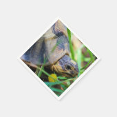 Niedlich Angulate Tortoise Südafrika Serviette (Ecke)