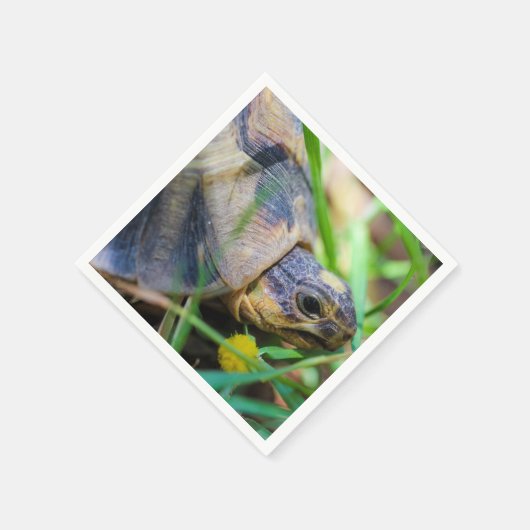 Niedlich Angulate Tortoise Südafrika Serviette (Ecke)