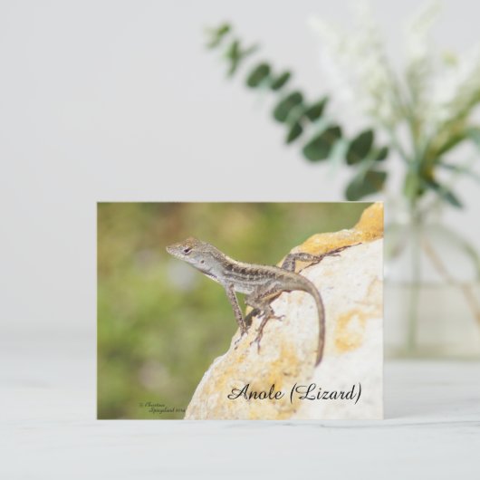 Niedlich Anole Lizard Postcard Postkarte (Stehend Vorderseite)