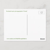 Niedlich Anole Lizard Postcard Postkarte (Rückseite)