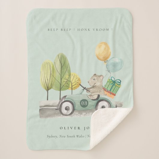 Niedlich Aqua Green Teddy Balloon Party Car Sherpadecke (Vorderseite)