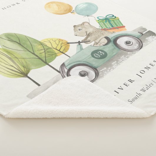 Niedlich Aqua Green Teddy Balloon Party Car Sherpadecke (3/4)