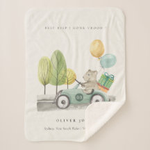 Niedlich Aqua Green Teddy Balloon Party Car