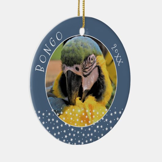 Niedlich Ara Pet Parrot Foto Star Weihnachten Keramik Ornament (Rechts)