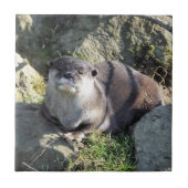 NIEDLICH ASIAN OTTER FLIESE (Vorderseite)