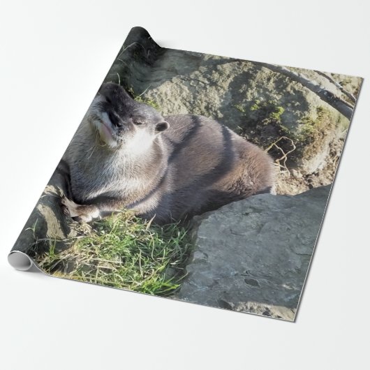 NIEDLICH ASIAN OTTER GESCHENKPAPIER (Ungerollt)