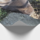 NIEDLICH ASIAN OTTER GESCHENKPAPIER (Ecke)