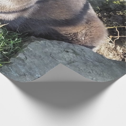 NIEDLICH ASIAN OTTER GESCHENKPAPIER (Ecke)