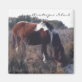 Niedlich Assateague Mare - Magnet (Vorne)