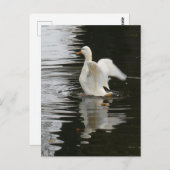 Niedlich aufsteigende Duck DIY Postkarte (Vorne/Hinten)