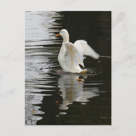 Niedlich aufsteigende Duck DIY Postkarte (Vorderseite)