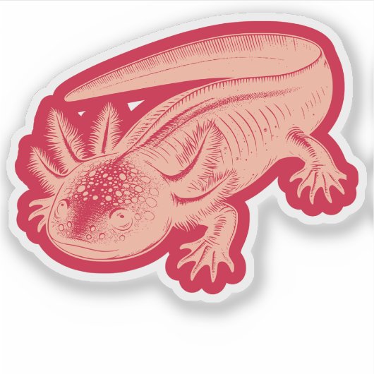 Niedlich Axolotl Neue Designs Vinyl Aufkleber (Vorderseite)