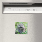 Niedlich Baby Bird Nature Magnet (In Situ (Geschirrspüler))